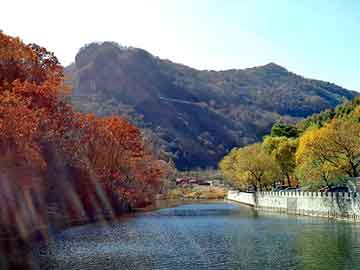 澳门精准正版免费大全14年新，雨菲儿